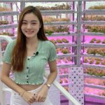 【都市農場「堅農圃」】|2359