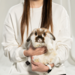 【留下來的兔】｜無名・事｜ACOO