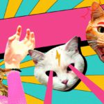 【貓奴必睇🐱】｜盡做｜最盡方式做貓奴