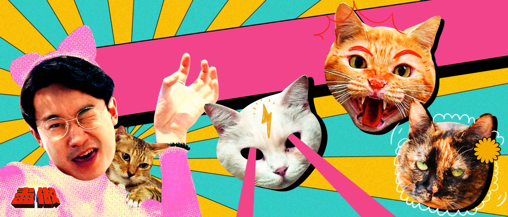 【貓奴必睇🐱】｜盡做｜最盡方式做貓奴